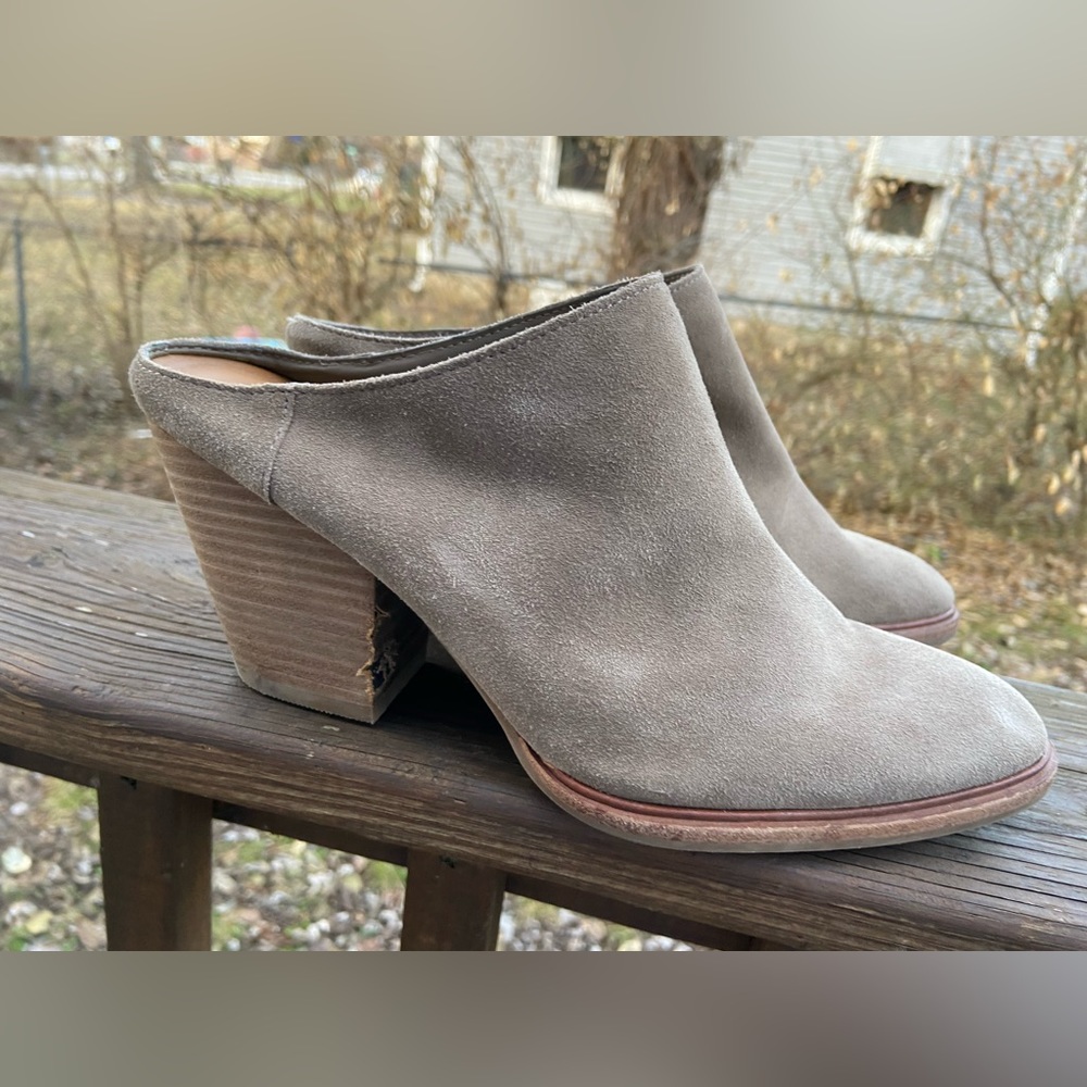 Steve Madden Mule